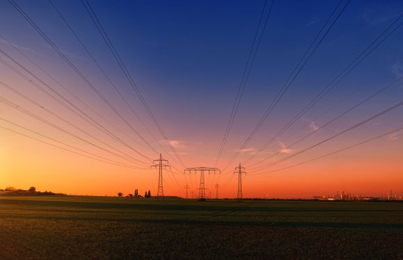 Czy można zrobić kurs SEP online?