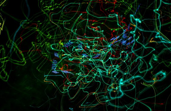 Uprawnienia sep – cena, szczegóły i reszta informacji których potrzebujesz!