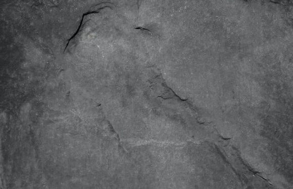 Kuchenne inspiracje: Płyty ceramiczne imitujące kamień w projektach kuchennych