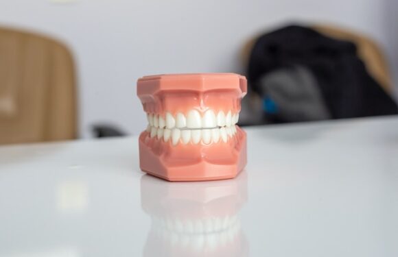 Przewodnik po portalach dentystycznych: Jak znaleźć najlepsze informacje stomatologiczne?