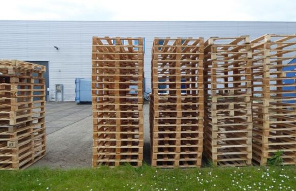 Martex – producent i dostawca palet drewnianych dla firm